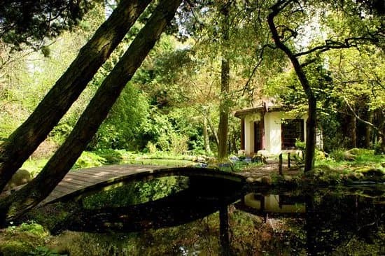 Arboretum Przelewice