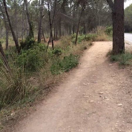 Parc del Mil.lenni