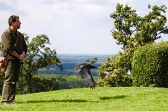 Adlerwarte Kreuzenstein