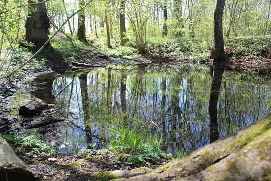 Prastamarkens naturreservat