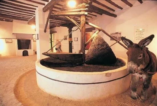 Museo de la Cultura del Olivo