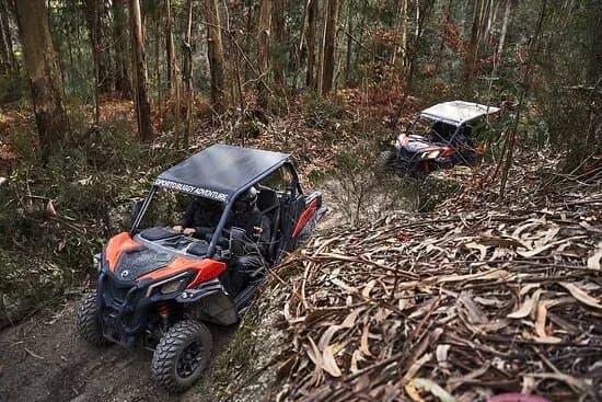 Oporto Buggy Adventure