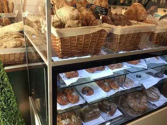 Hedh Escalante Chocolatier