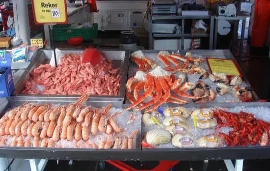 Fish Market