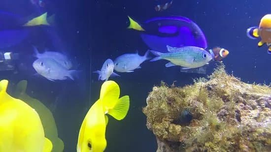 Achill Experience, Aquarium & Visitor Centre