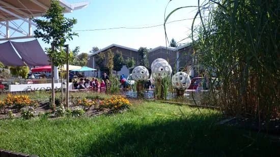 Sashalmi Market