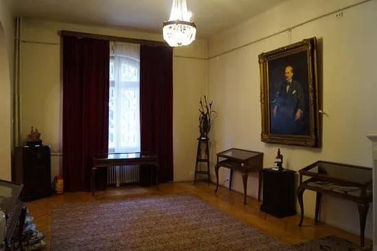 Victor Babes Museum