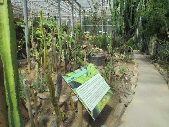 Observatoire du Monde des Plantes