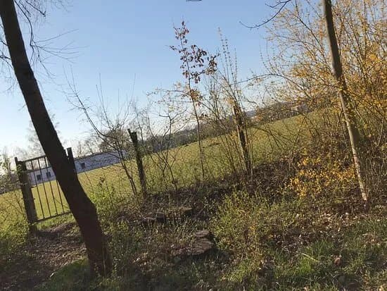 Sportplatz Schedewitz