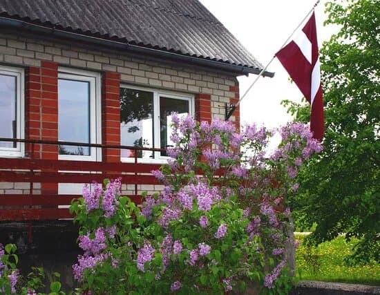 Roberts Muks Museum In Galeni
