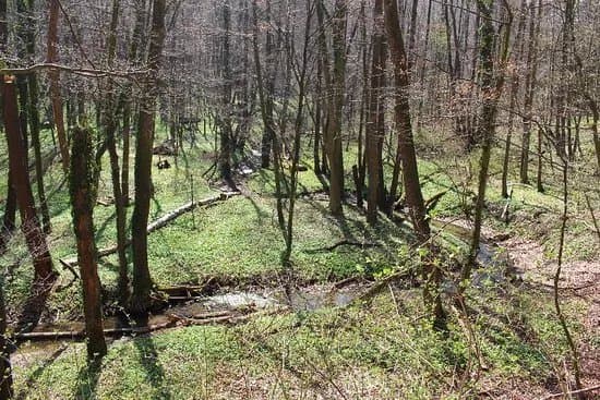 Hagenbachklamm