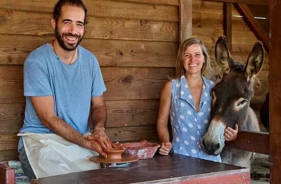Burros & Artes