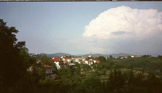 Vinoteka Brda