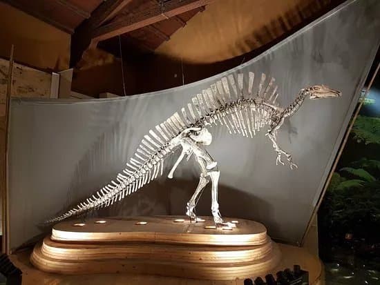 Natural History Museum of Venice Giancarlo Ligabue