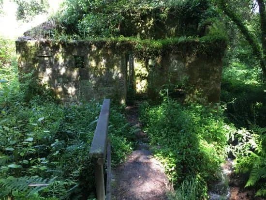 Finca de O Frendoal