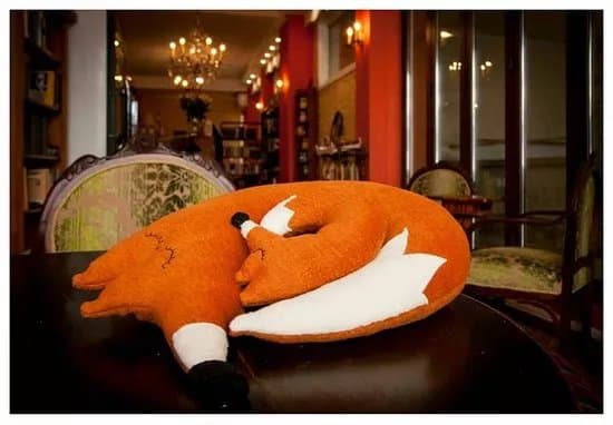 Fox Book Cafe