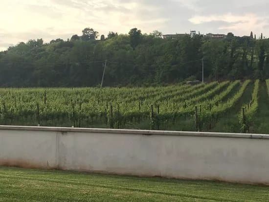 Azienda Agricola Albino Piona