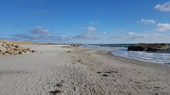 Grenen