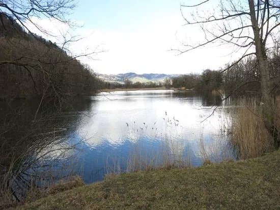 Naturschutzgebiet Wichenstein