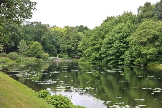 Wallanlagen Park