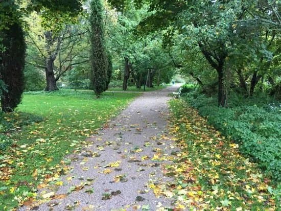 Meilahti Arboretum