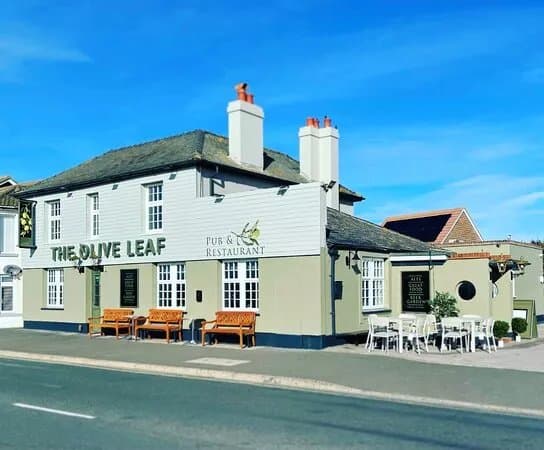 The Olive Leaf
