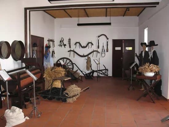 Museu de Vila Nova de S. Bento