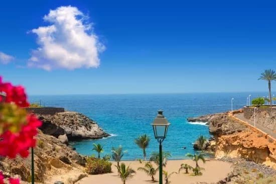 Canary Island Transfer