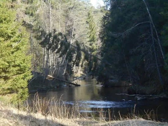 Taevaskoja Nature Trail