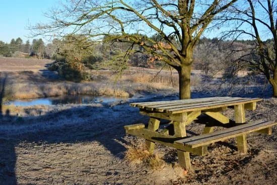 Brunssummerheide