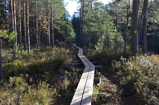 Southern Konnevesi National park