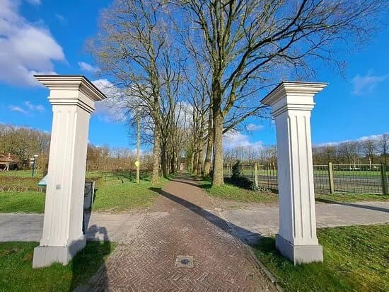Mensingebos