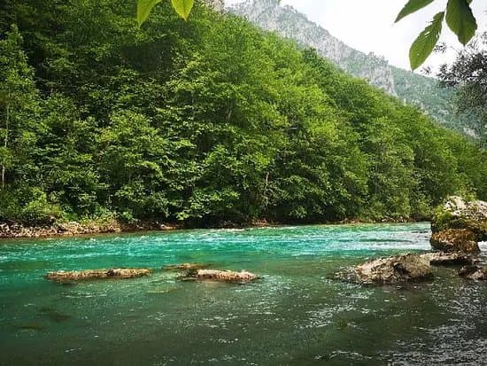 Tara Kula Raft