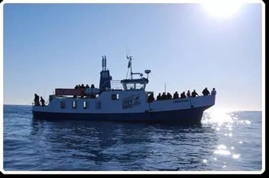Reykjavik Sea Adventures