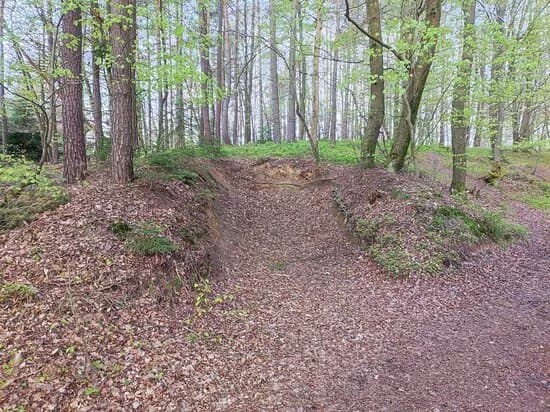 Debni Vrh