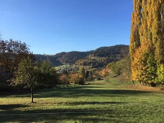 Ferme du Versant du Soleil