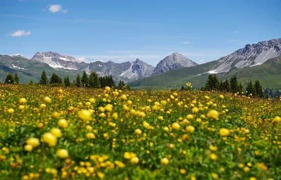 Wandern