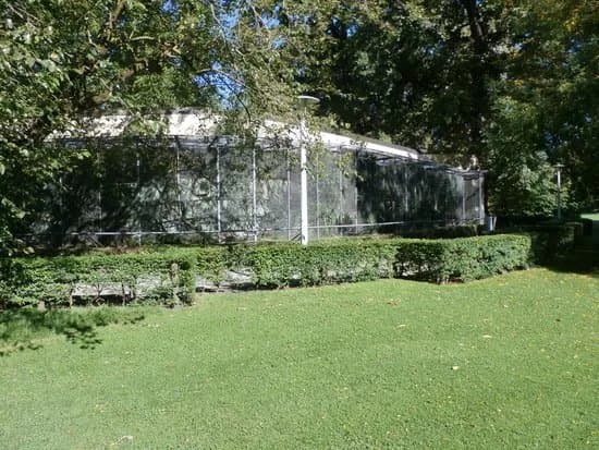 Bird Aviary