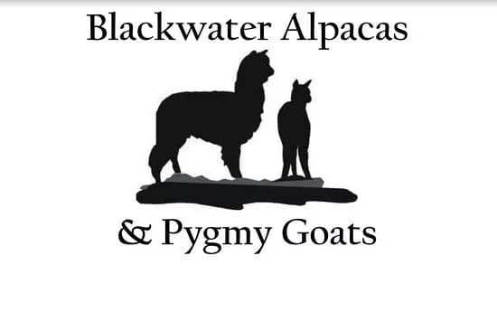 Blackwater Alpacas & Pygmy Goats