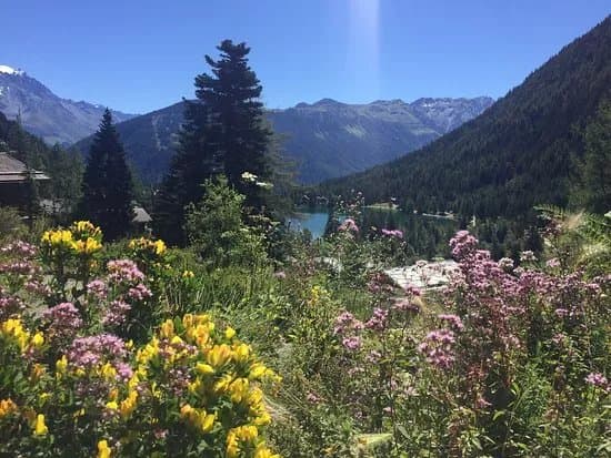 Flore-Alpe Alpine Botanical Garden