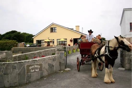 Thomas Faherty Tours