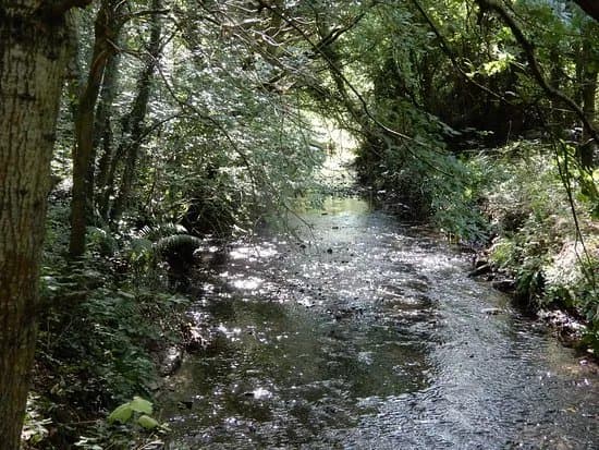 Rivacre Valley Nature Reserve