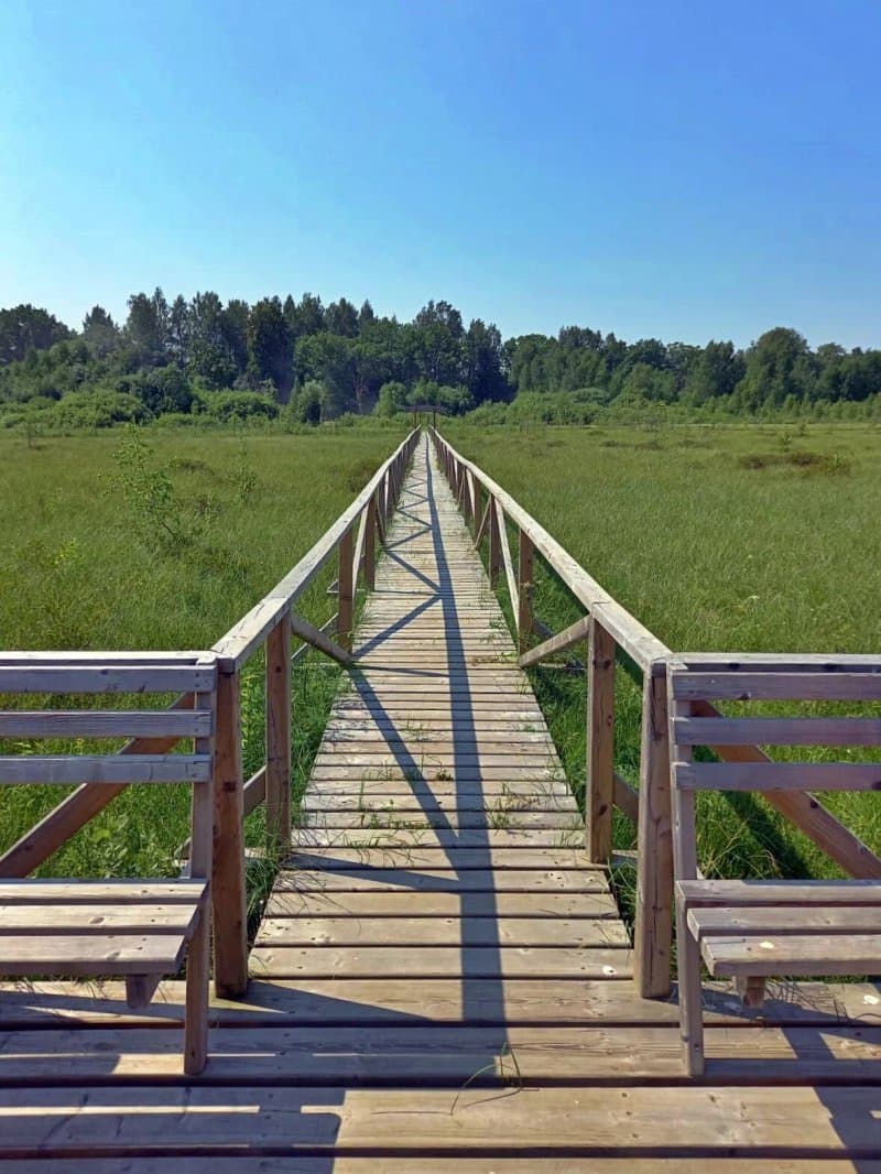 Katvari Lake Boardwalk