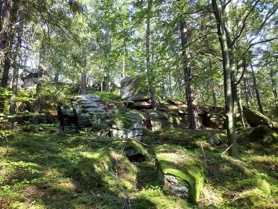 Zloty Widok Michalowice