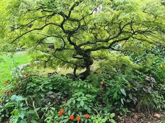 Jardin Japonais d'Evian-les-Bains