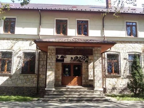 Muzeul Tarii Oasului
