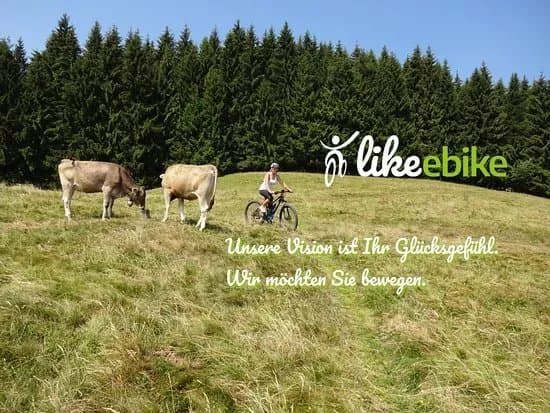 Like eBike