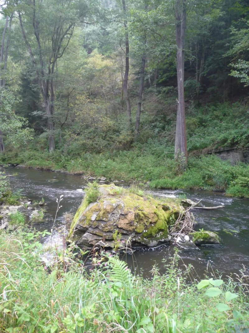 Gasthof im Gsteinigt