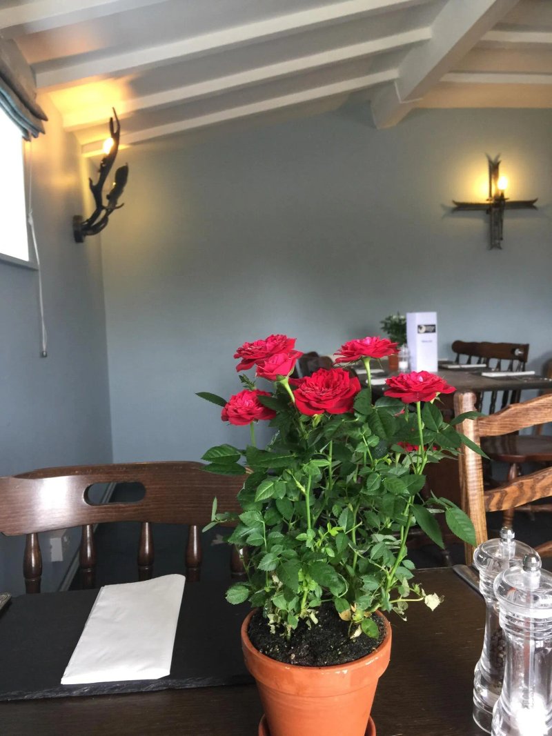 Garway Moon Inn