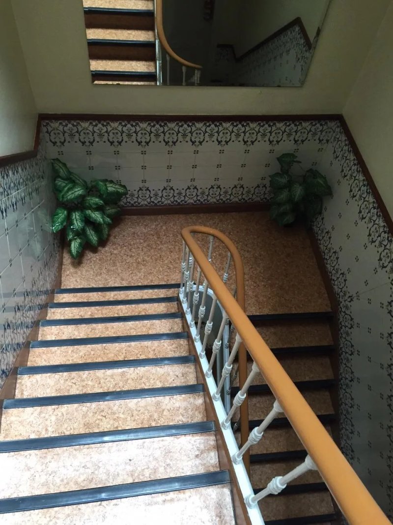 Estrela dos Anjos Guest House